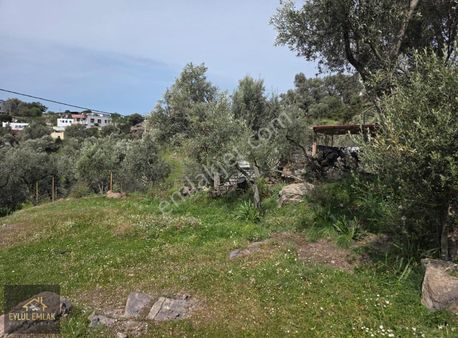 Bodrum Gökpınarda Satılık Arsa