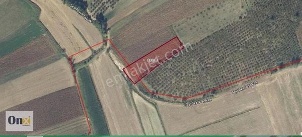 Sakarya Metal Ve Otomotiv İhtisas Organize Dibinde 2565 M2 Tarla