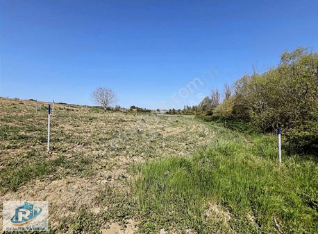 Pınarhisar Kaynarca Akarlarda Satılık Parseller Asfalta 200 Mt