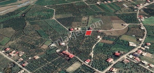 Arsuz Höyük Te Satılık 1103 M2 Tarla