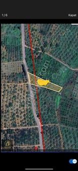 1350m2 Hazır Elma Bahçesi