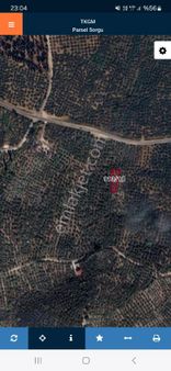 Bursa Orhangazi Heceler Mahallesi Göl Manzaralı Zeytinlik