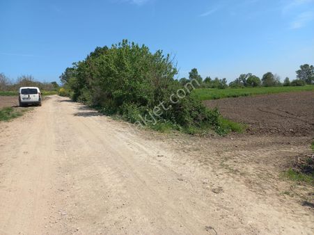Karacabey İsmetpaşada Yolu Suyu Olan Fırsat Satılık Tarla