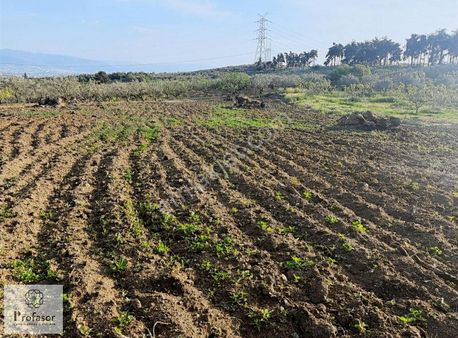 Profasor Dan Satılık Gündoğdu Köyü 1.594 M2 Tarla Merkeze 20 Dk