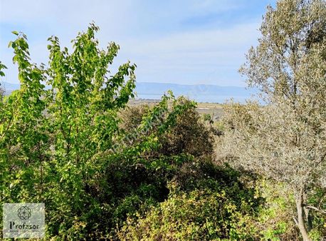 Profasor *dan Orhangazi'de Satılık 4142 M2 Tarla