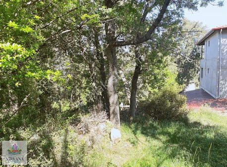 Başkarcı'da 1.475 M² İmar'a Yakın Satılık Tarla