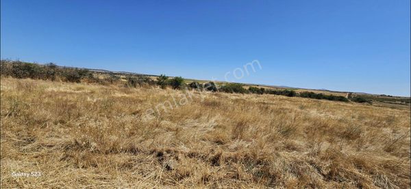 Edirne Taşlısekban Köyünde Yola Cepheli Tarla