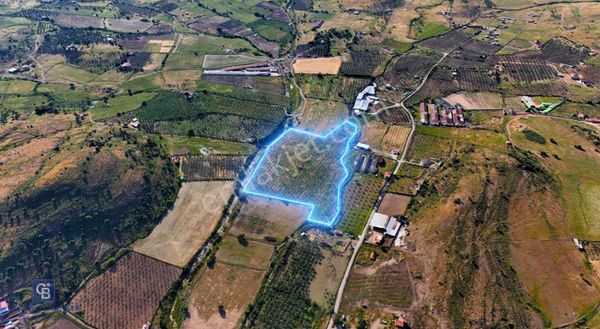 Foça Fevziçakmak Ta Satılık Tarla