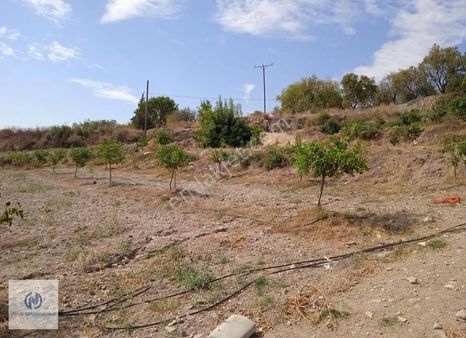 **nova** Kazanlı Mh. Eski Yol Üzeri 17.825 M2 Satılık Arsa