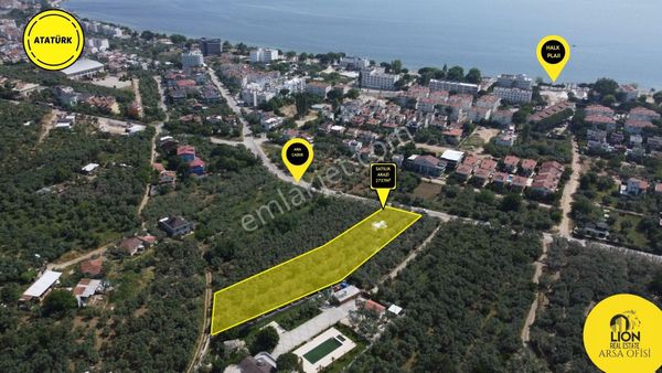 Erdek Ocaklar Yoluna Cephe İçerisinde Ev Bulunan 2737m² Satılık Zeytinlik