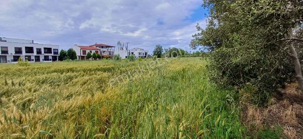 Gökova Körfezi Ören Cennetin De İmar Sınırında Tarla