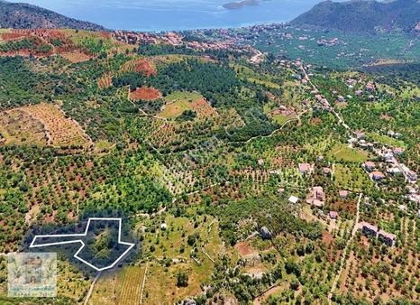 Marinden Yaka Mah. 3.747 M2 İmara Yakın Resmi Yolu Olan Arazi