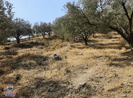 Re/max Target'tan Kınık Türkcedı'te Satılık Arsa