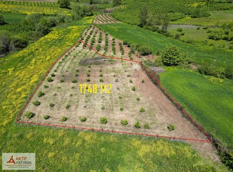 Hediyeli Mahallesi Göl Manzaralı 1748 M2 %5 İmar Fındıklık