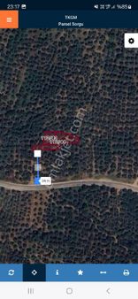 Bursa Orhangazi Heceler Mahallesi Bakımlı Zeytinlik