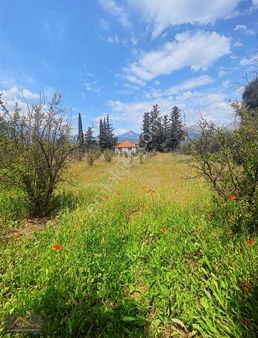 Konyaaltı Suiçeçek Mahallesinde Satılık Tarla