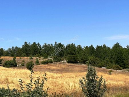 Yenigüney Köyünde 7.155m2 Yolu Olan Müstakil Parsel Satılık Arsa