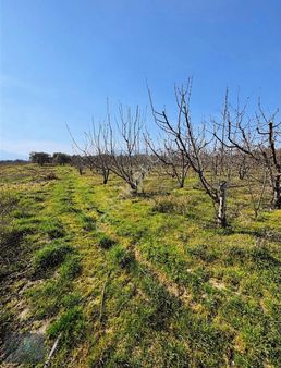 Fırsat!! İçinde (izsu)suyu Ve Bol Sayıda Kiraz Ağacı