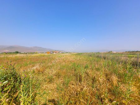 Menemen Türkelli Satılık Tarla