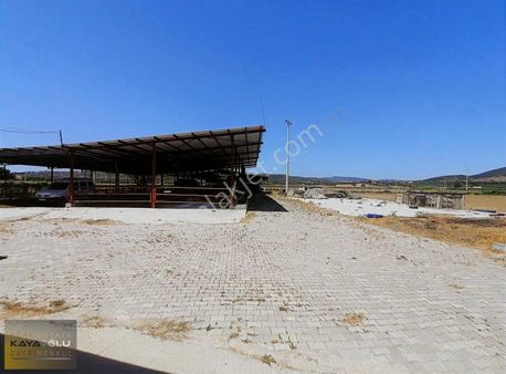 Foça Gerenköy Ruhsatlı Satılık Çiftlik Ve Arsası