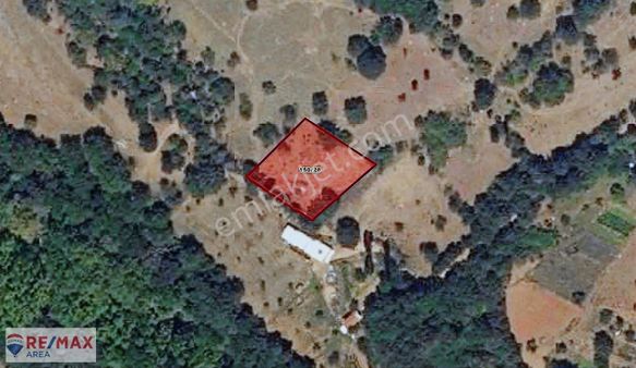 Remax Area Dan Osmangazi Çaybaşı Satılık 290 M2 Tarla Hissesi