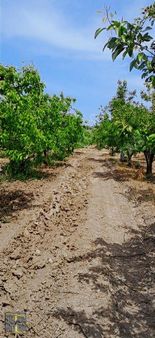 Elmas Gayrimenkul Den Ahmetbeyde Kaçırılmayacak Fırsat Armut Bahçesi