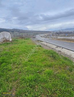 Semih'den İncirlide Otoban Kenarı 484 M2 Tava Gibi Arazi