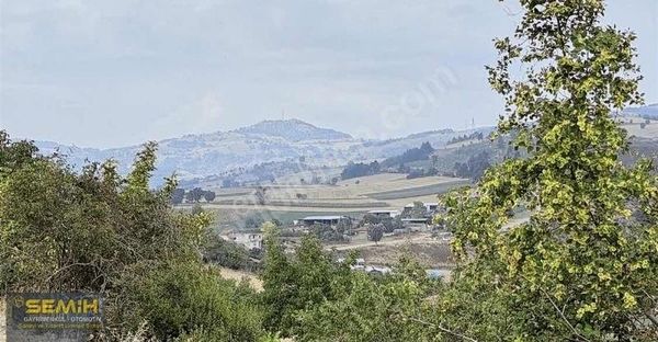 Semih'den Alaylıda Köy Yanı 2800 M2 Bol Çeşitli Meyve Bahçesi