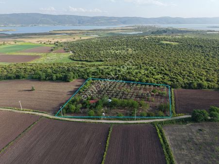 Wıse Invest Gayrimenkul'dan Gölyazıda 8.050 M² Çiftlik Evi