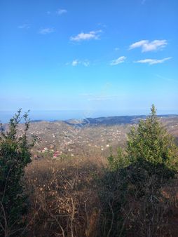Arsin Işıklı Mahallesinde İçinde Ev İle Birlikte Satılık Arazi