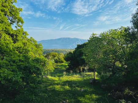 Çanakkale Bektaş Köyünde Kapanmaz Midilli Manzaralı Tarla