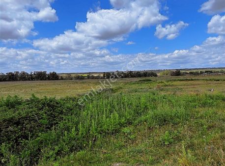 Karlıda İmar İçi 720 M2 Yolu Var Köye 150 Metre Acil Satılık