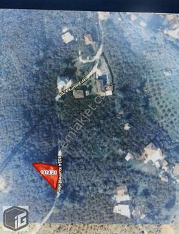 Fındıklık, Hobi Bahçesi Yapılabilecek 338m2 Fırsatlık Arazi