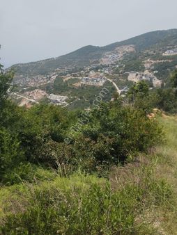 Alanya Bektaş Full Manzaralı