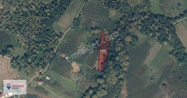 Tekkeköy'de Kaçırılmayacak Fırsat Tarla