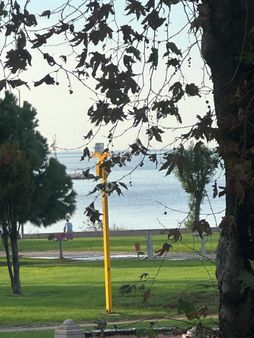 Ata Emlak'tan Yalova Sahilde Denize Sıfır 1+1 Satılık Daire