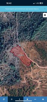 Acill Satılık Yatırıma Uygun Tarla