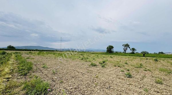 Şehitlerde Köy Merkezine Yürüme Mesafesinde Olan Tarla 1725 M2