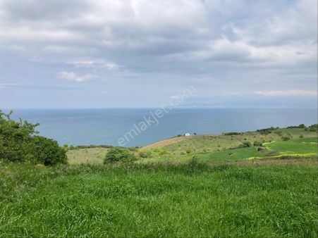 Bursa Mudanya Yalıçiflik Deniz Manzaralı Tarla