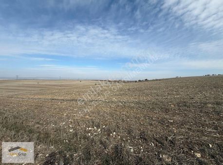 *genç Grup*yukarı Kartal'da 2839 M2 Yatırımlık Fırsat Tarla