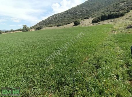 Em-ka Dan Tavas Garip Köyde 9395m2 Verimli Satılık Tarla