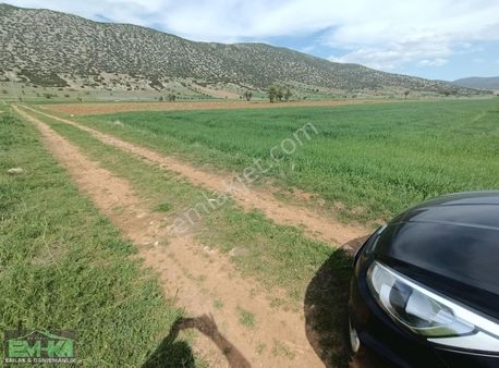 Em-ka Dan Tavas Garipköde Satılık 5300 M2 Tarla