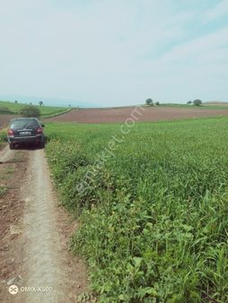 Tokat Erbaa Orta Mah Satılık 7.614 M2 Uygun Fiyat Tek Tapu Arazi