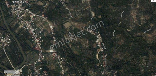 Begonvil Kahvaltı Bahçesinin Arkasında Eşsiz