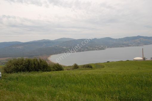 Feyzullah'tan Hamamlı'da Full Körfez Manzaralı 3766 M2 Tarla