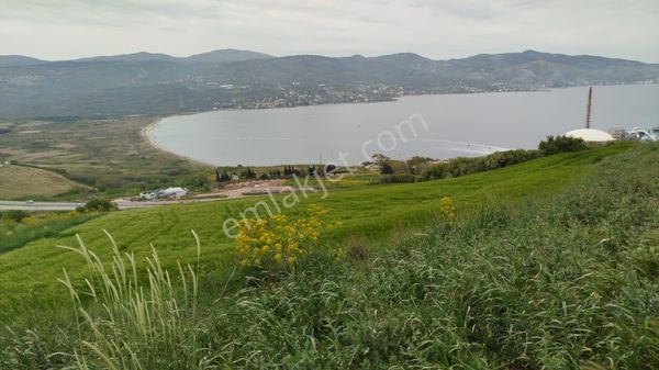 Feyzullah'tan Hamamlı'da Deniz Manzaralı 3523 M² Satılık Tarla