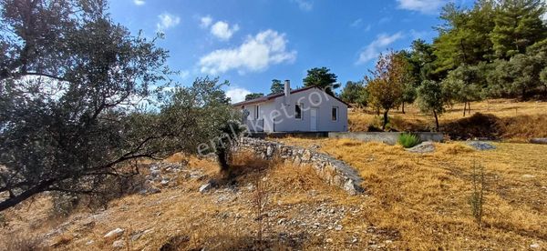 Milas Ören Yakınların Da Satılık Arazi 10 Milyon Tl