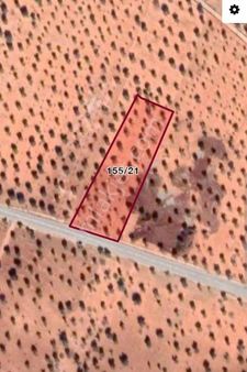 Nizip Yeniyazı Eski Cidet Köyünde Asvalt Üzeri Fıstık Zeytin