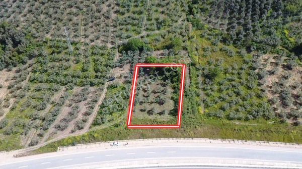 Dialog Leo’dan Satılık Togg’a Ve Denize Yakın Fırsat Arazi