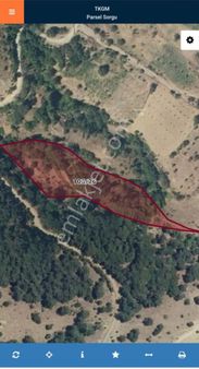 Bergama İkizler Mah Çamyurt Mevki Satılık Tarla